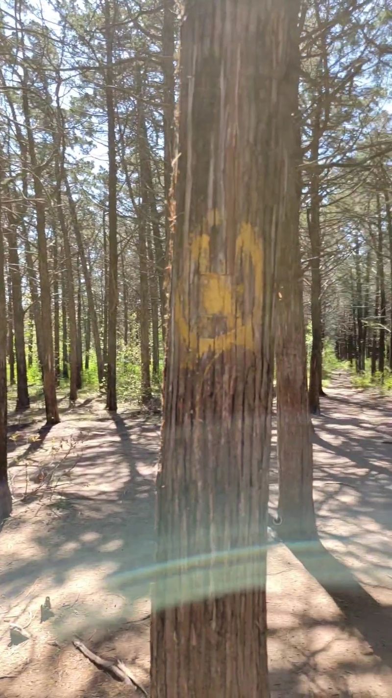 Trail Conditions and Navigation Tips