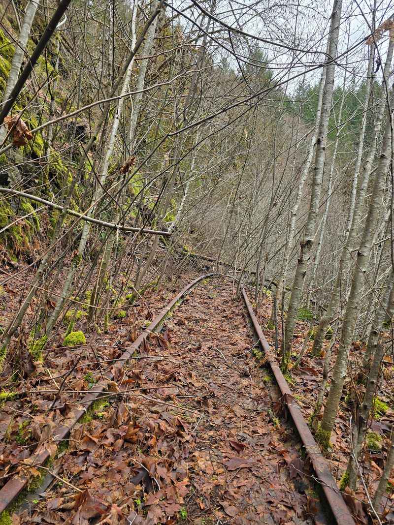Trail Conditions and Seasonal Considerations Trail Conditions and Seasonal Considerations