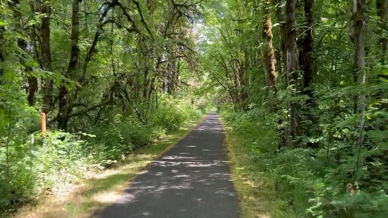 Trail Conditions and What to Watch Out For Trail Conditions and What to Watch Out For