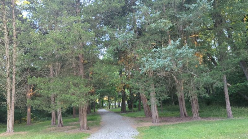 Trail Life: What It Feels Like to Walk Through the Reserve Trail Life: What It Feels Like to Walk Through the Reserve