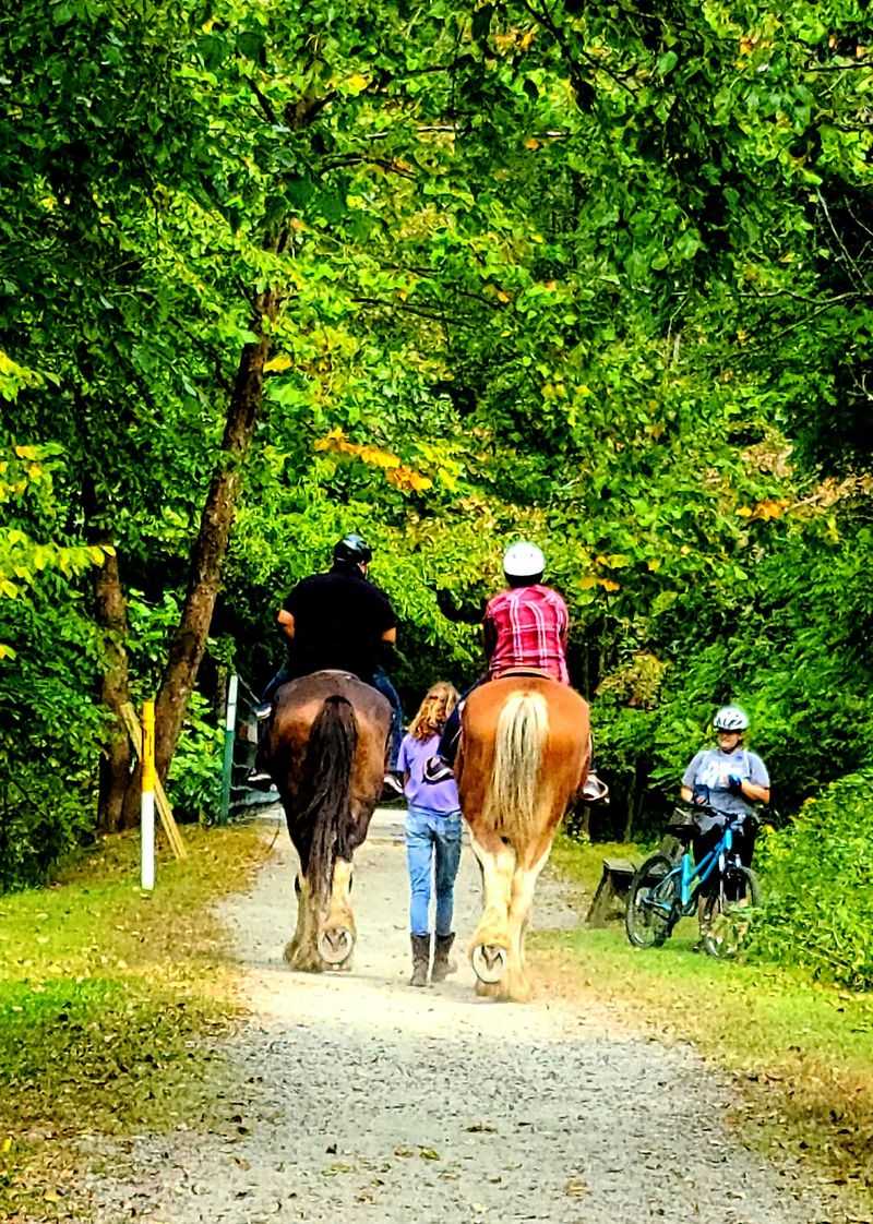 Trail Rides With A Calm Learning Curve