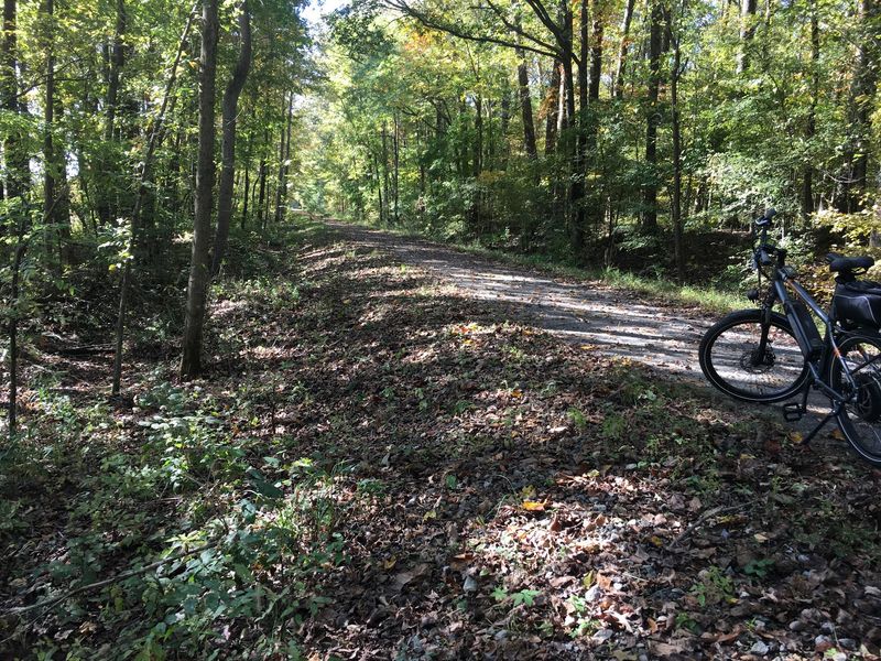 Trail Surface, Terrain, and What to Expect for Your Skill Level