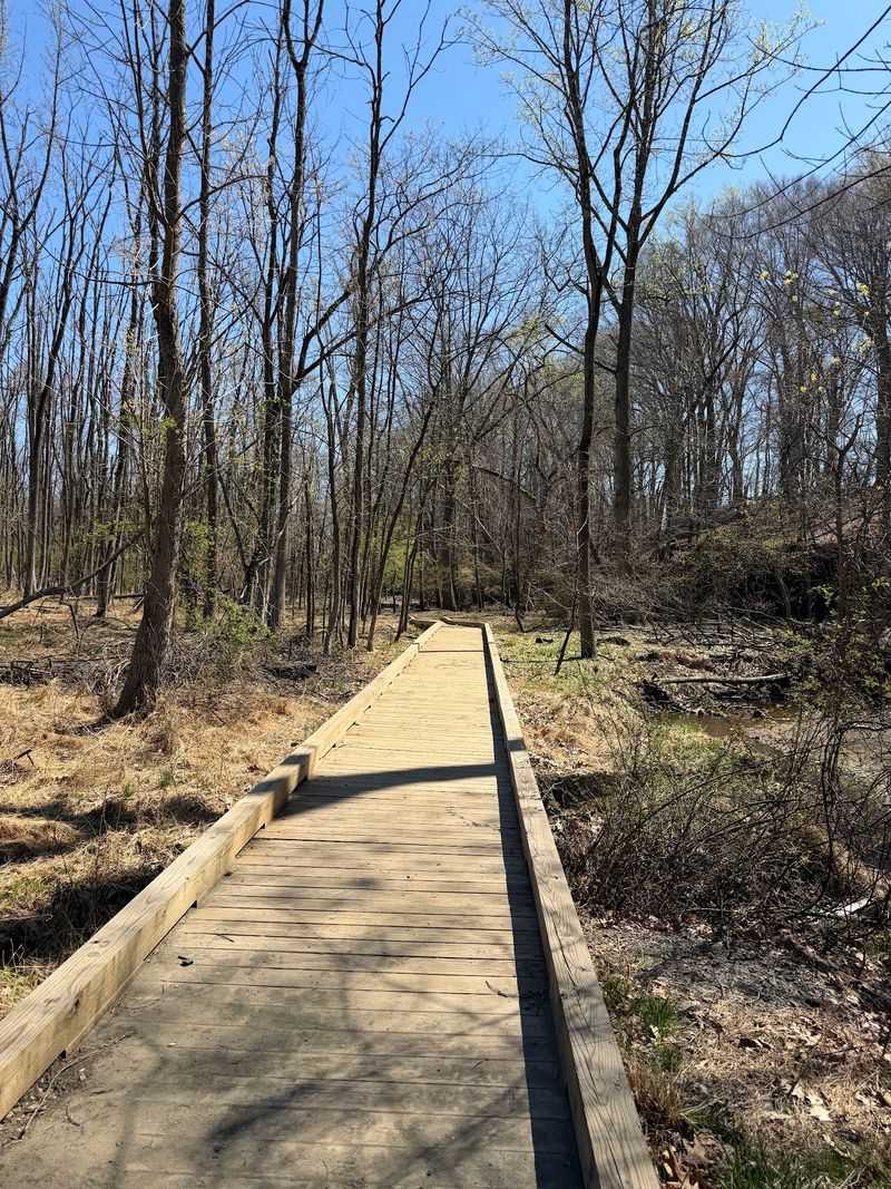 Trails And Boardwalks Beyond The Gravel Trails And Boardwalks Beyond The Gravel
