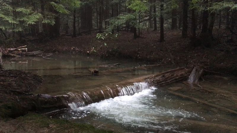 Trails Beyond the Boulders: Hiking the Full 170 Acres Trails Beyond the Boulders: Hiking the Full 170 Acres