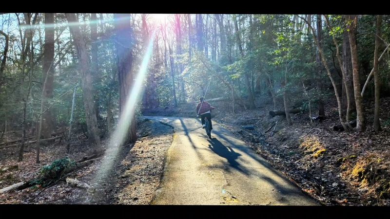 Trails Beyond the Fossil Hunt