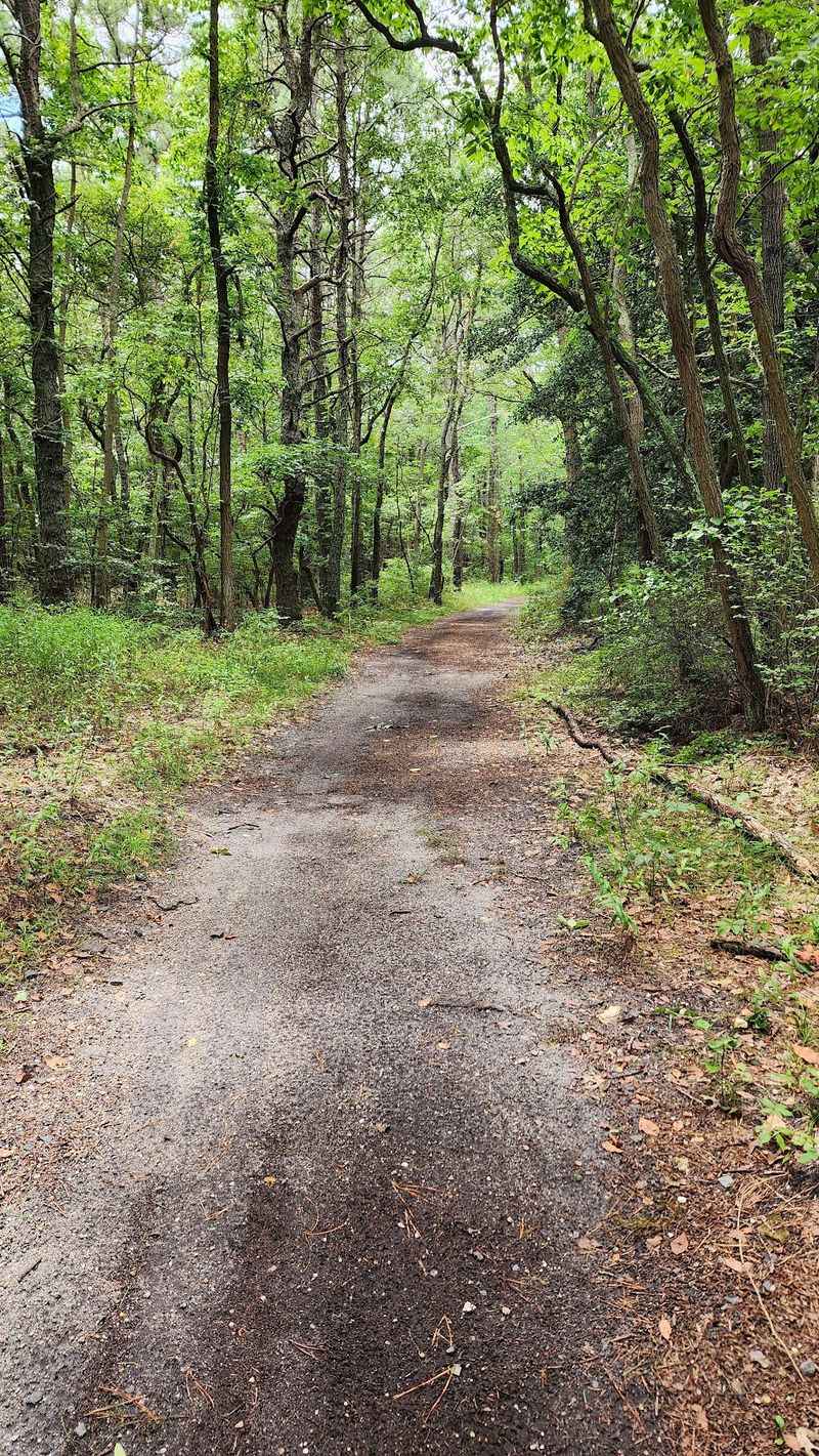 Trails For A Slower Kind Of Visit Trails For A Slower Kind Of Visit