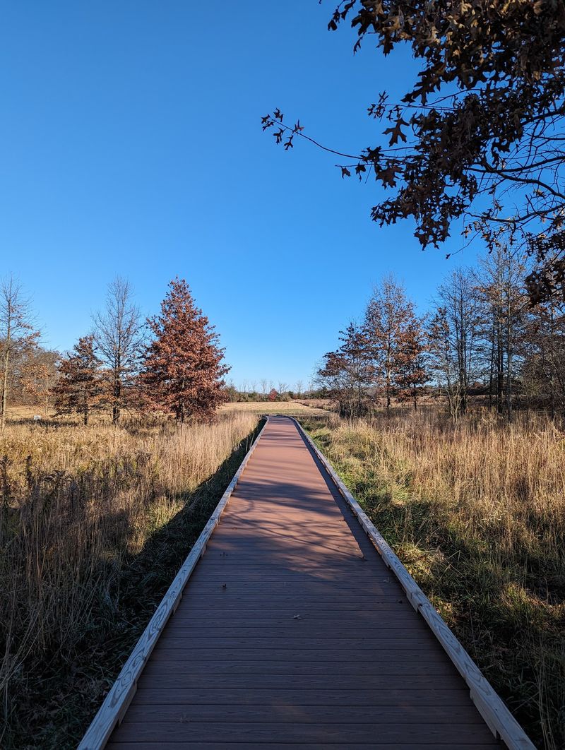 Trails Made For Wandering, Not Conquering Trails Made For Wandering, Not Conquering