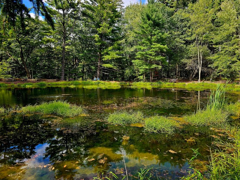 Trails, Ponds, and the Reward of Slowing Down Trails, Ponds, and the Reward of Slowing Down