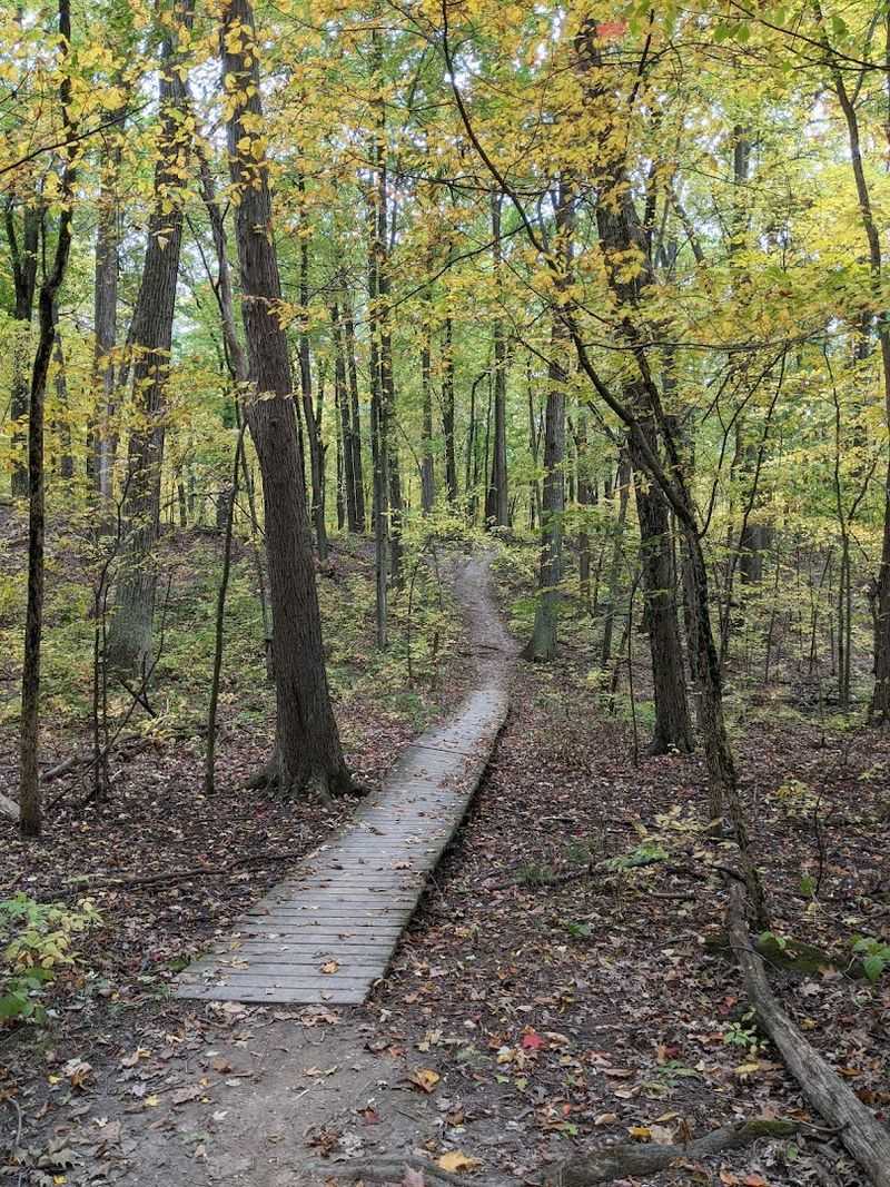 Trails That Actually Challenge You