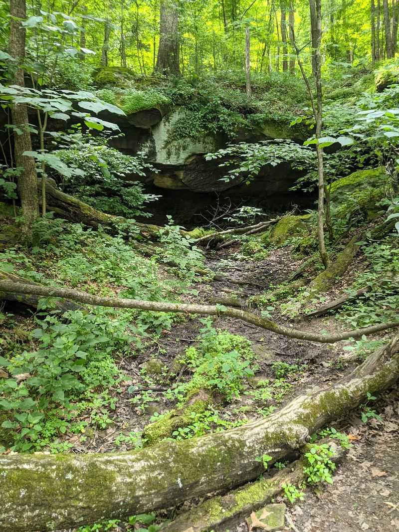 Trails That Actually Challenge You
