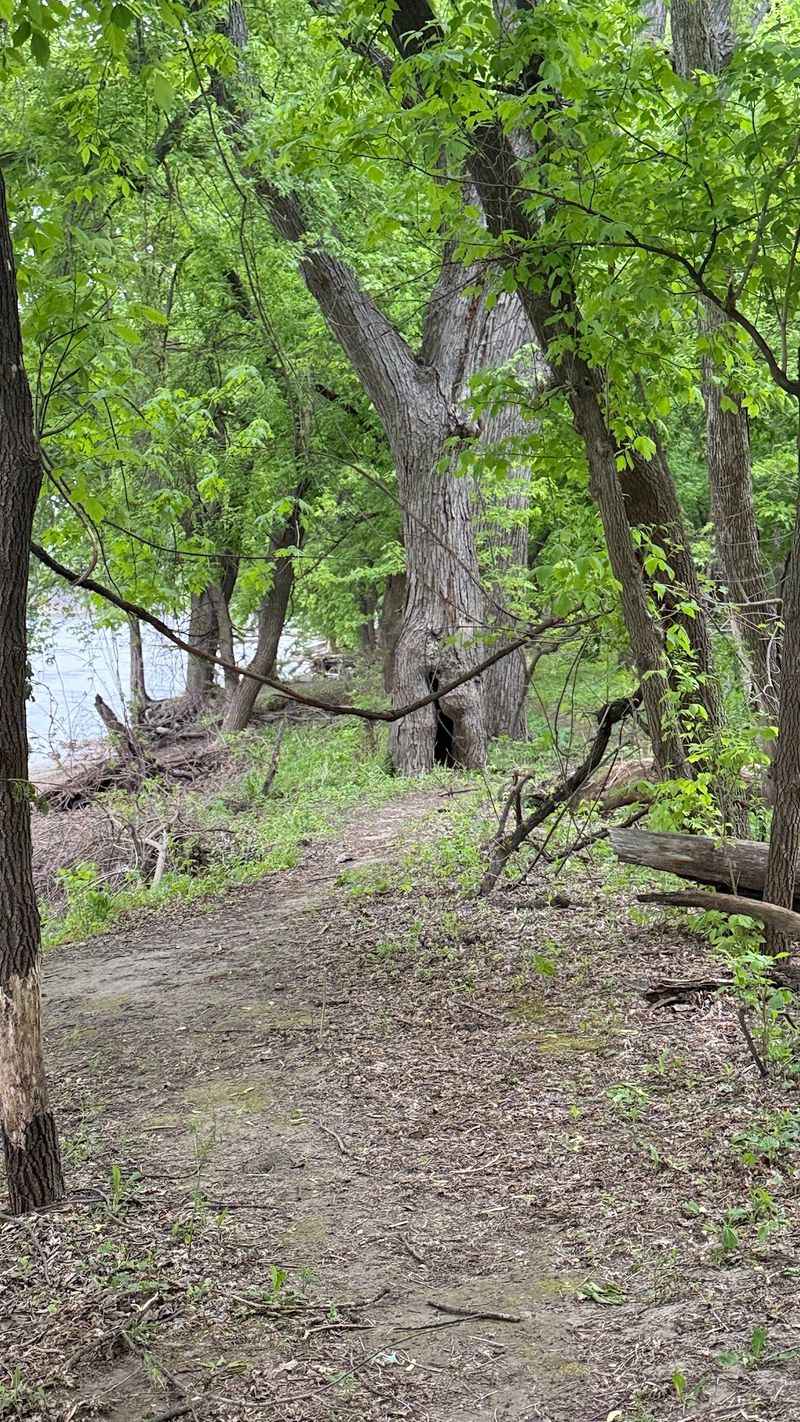 Trails That Connect to the Larger Landscape