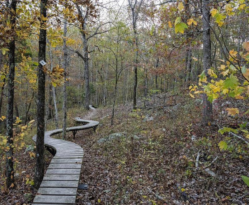 Trails That Go the Distance: Hiking and Mountain Biking Options Trails That Go the Distance: Hiking and Mountain Biking Options