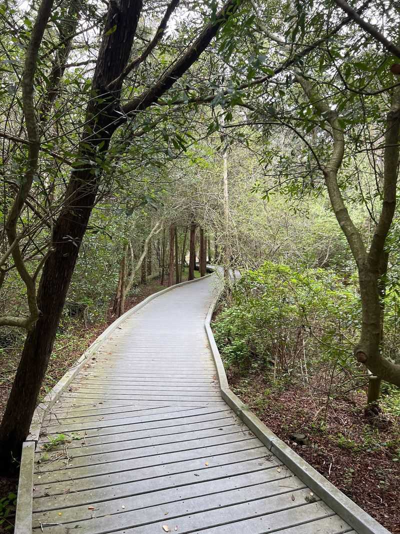 Trails That Keep The Day Moving Trails That Keep The Day Moving