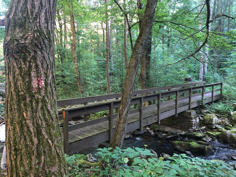 Trails That Range From Strolls to Serious Climbs Trails That Range From Strolls to Serious Climbs