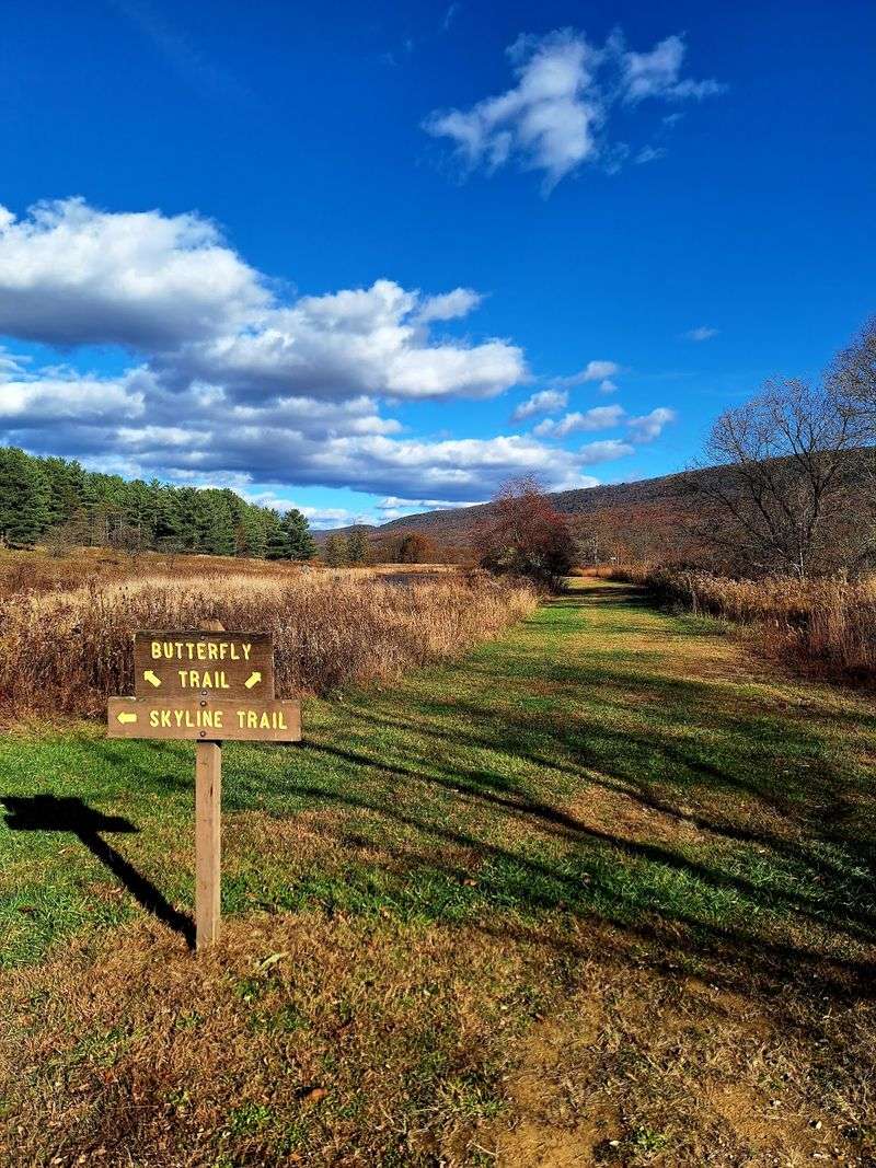 Trails That Range from a Butterfly Loop to a Rocky Lakeside Path Trails That Range from a Butterfly Loop to a Rocky Lakeside Path