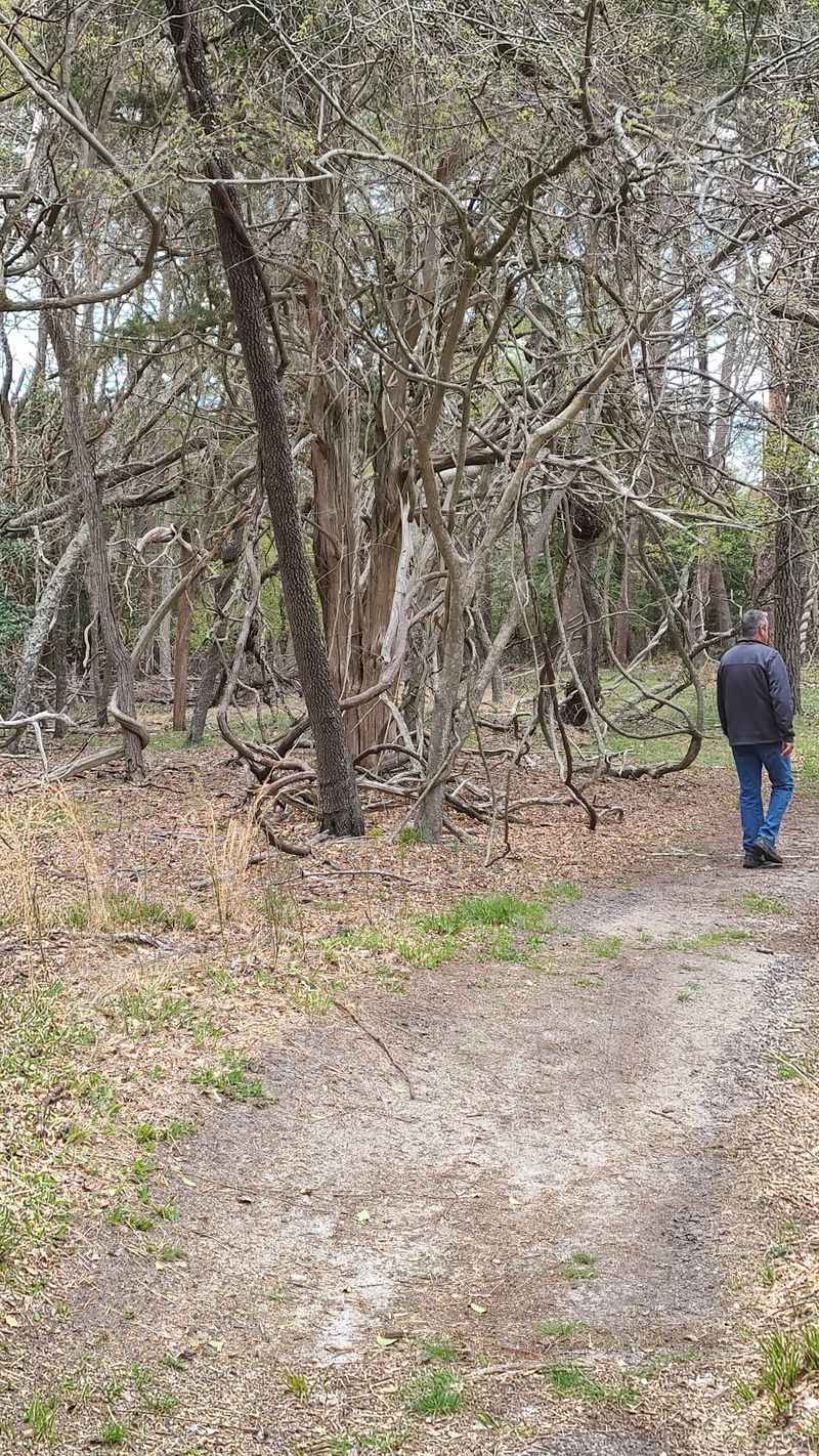 Trails That Refuse To Hold Your Hand Trails That Refuse To Hold Your Hand