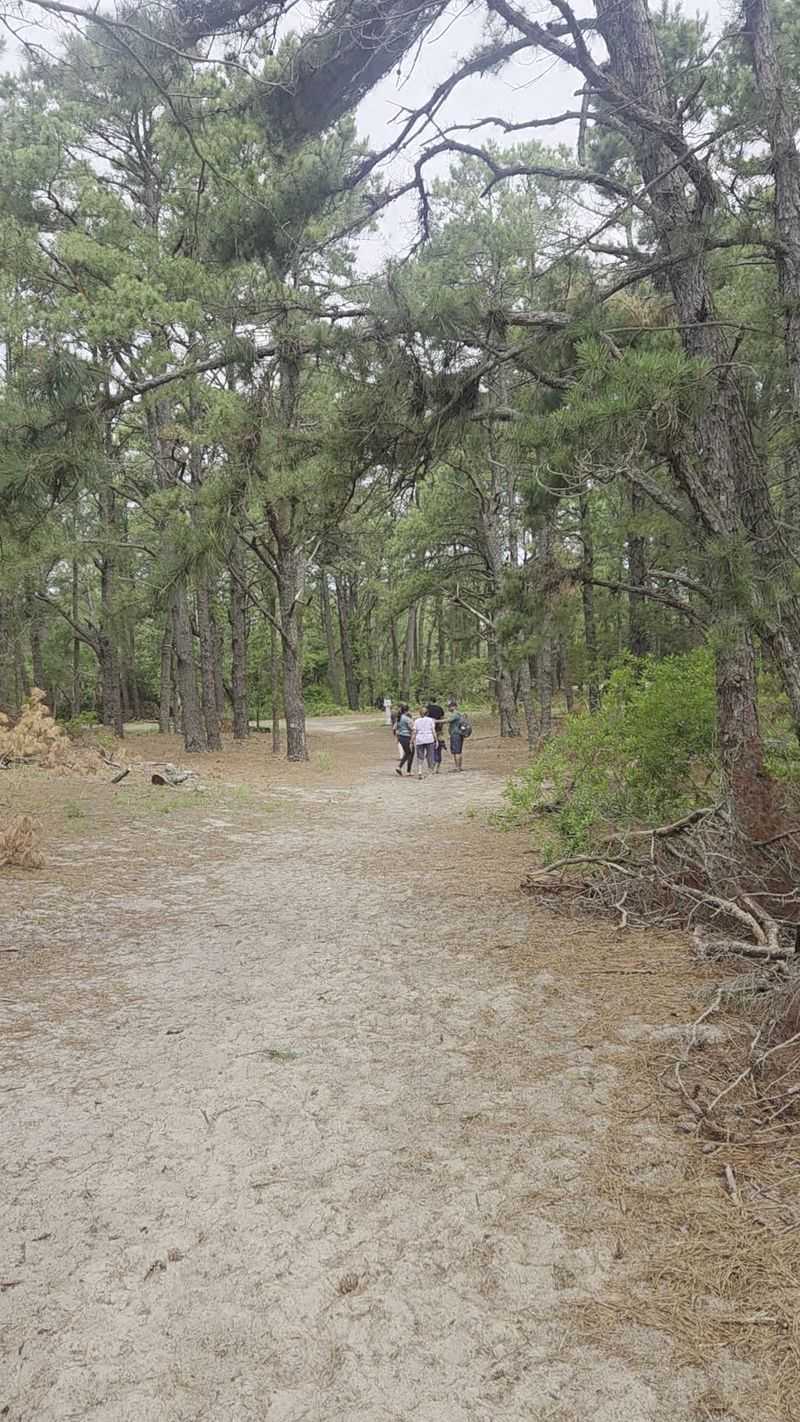 Trails That Reveal the Coast in a Whole New Way Trails That Reveal the Coast in a Whole New Way