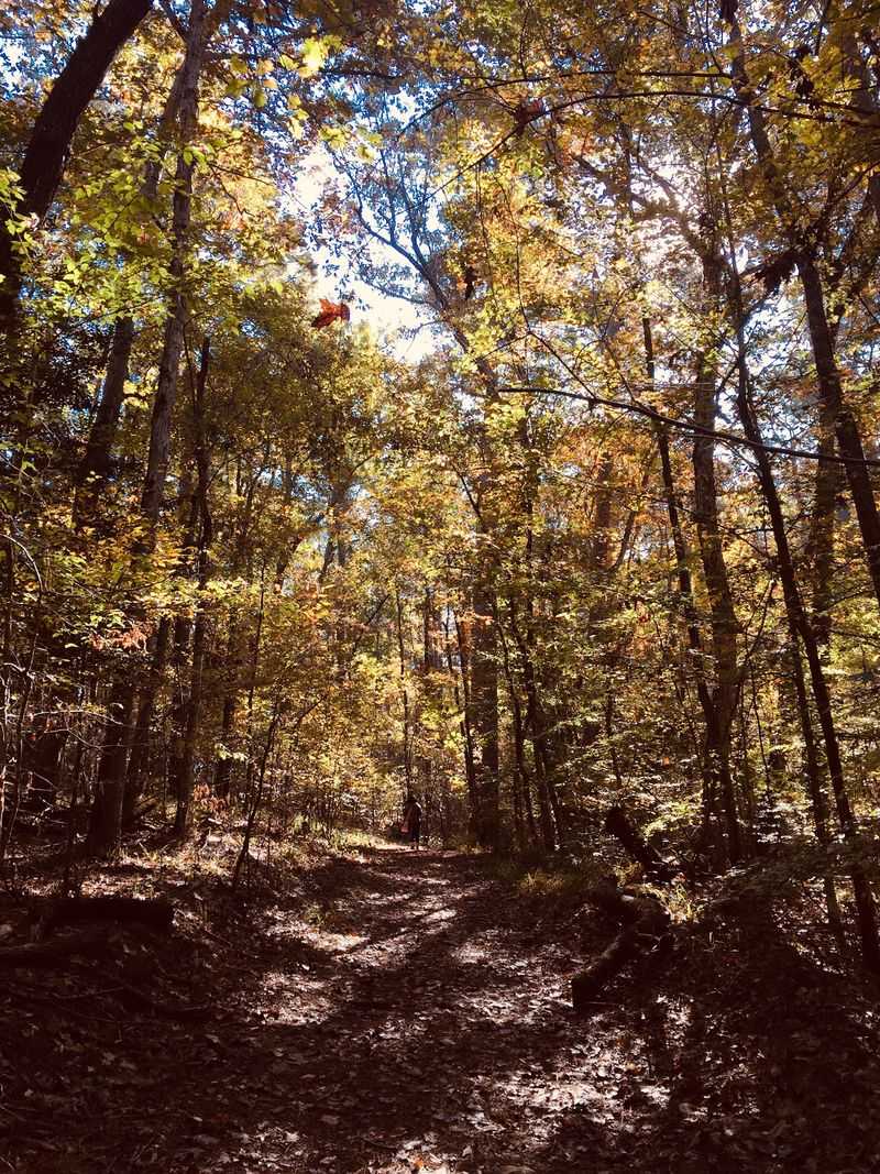 Trails That Reveal the Park's Many Personalities