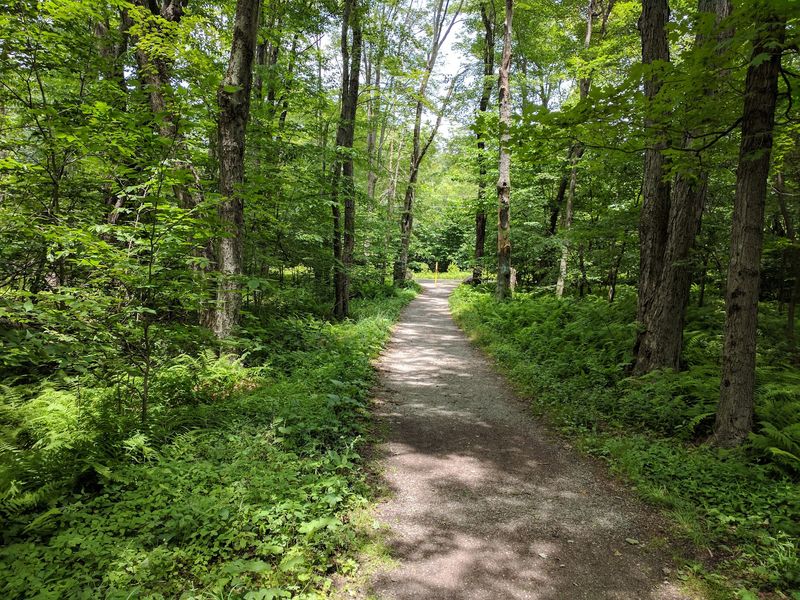 Trails That Reward Every Kind of Walker Trails That Reward Every Kind of Walker