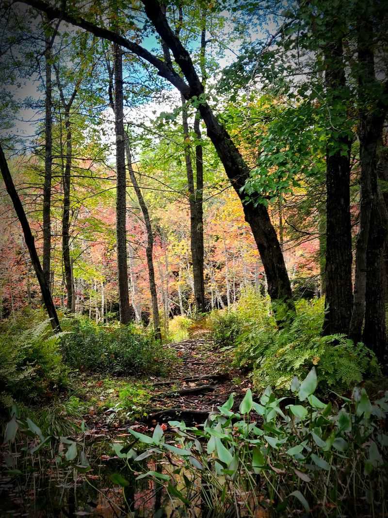 Trails That Wander for Miles Trails That Wander for Miles