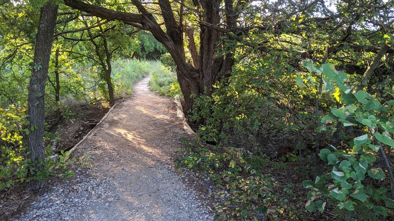 Trails Worth Lacing Up For