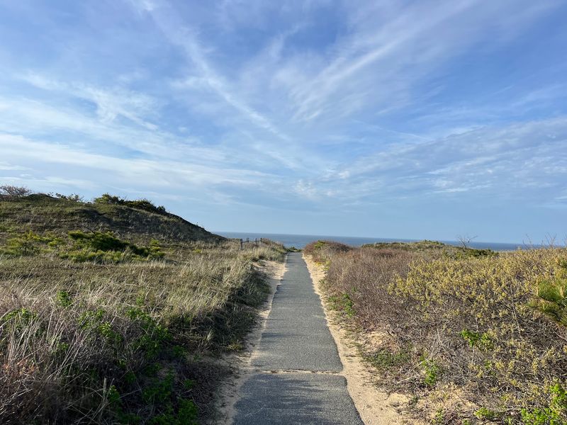 Trails and an Observation Platform Above the Dunes Trails and an Observation Platform Above the Dunes
