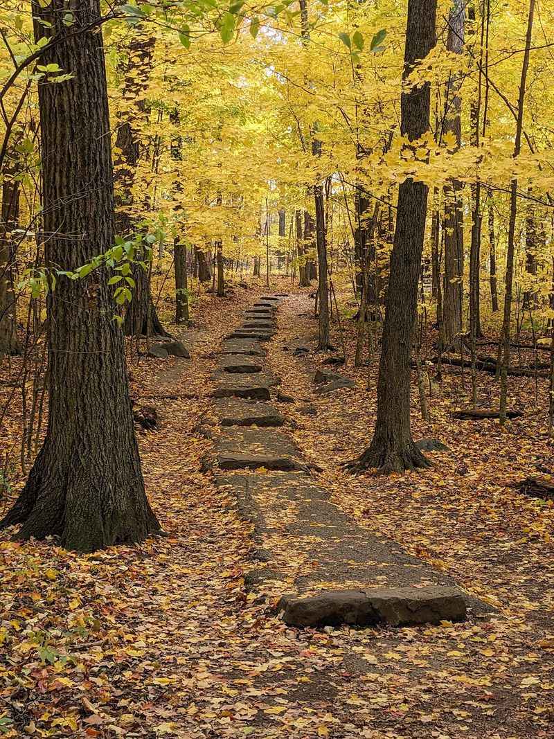 Trails for Every Kind of Hiker Trails for Every Kind of Hiker