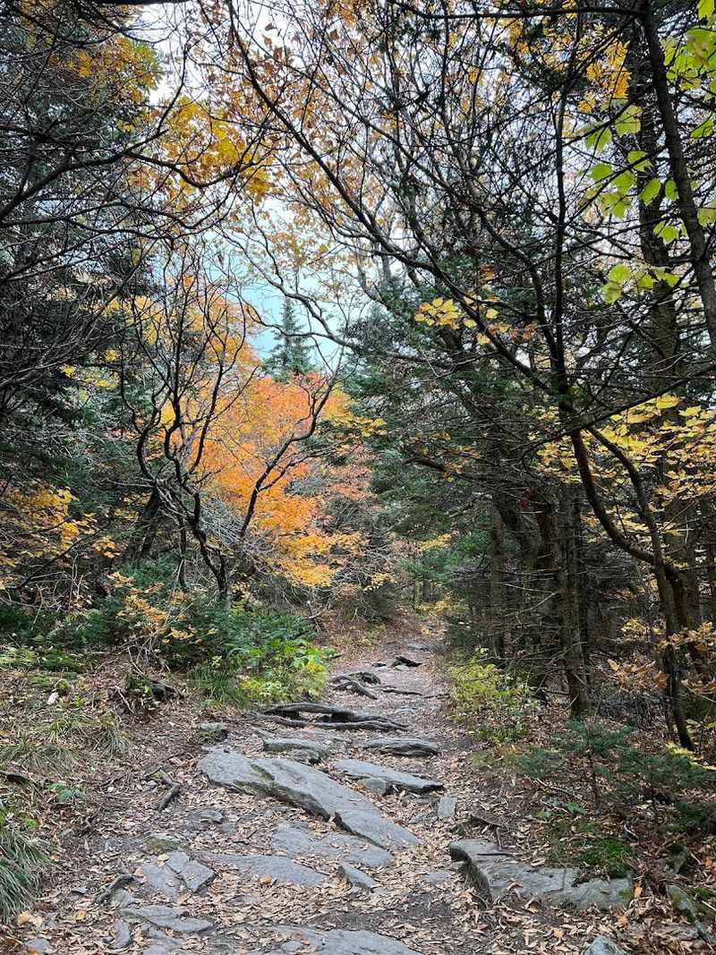 Trails for Every Kind of Hiker