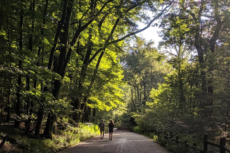 Trails for Every Kind of Walker