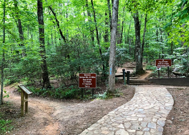 Trails for Every Kind of Wanderer