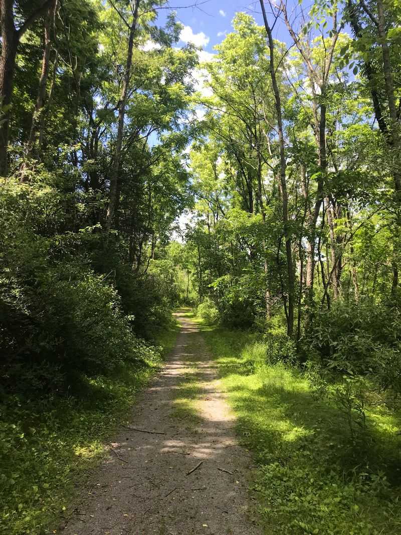 Trails for Every Pace, From Gentle Loops to Rocky Climbs Trails for Every Pace, From Gentle Loops to Rocky Climbs
