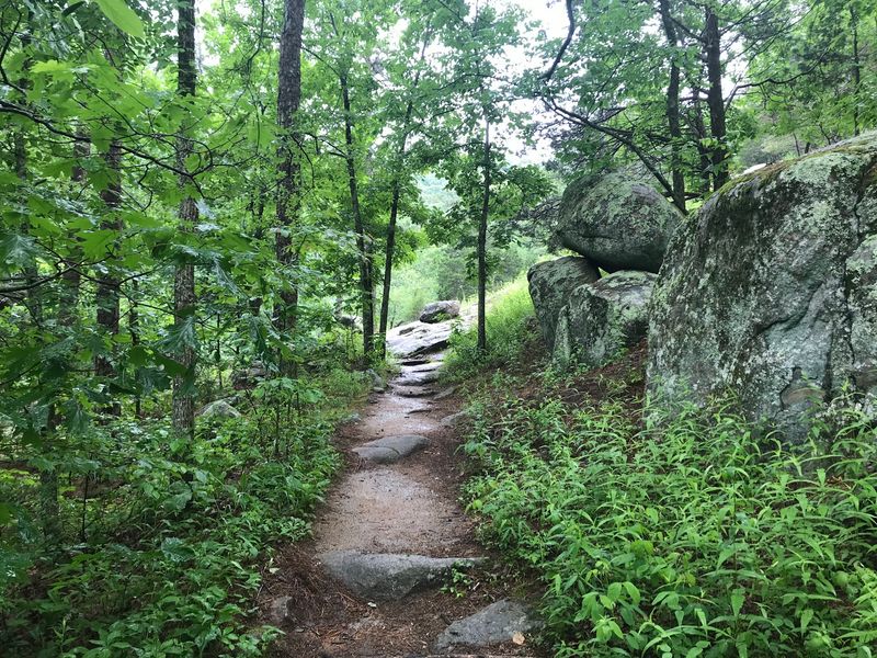 Trails of Discovery: Pathways Through a Wild Heart Trails of Discovery: Pathways Through a Wild Heart