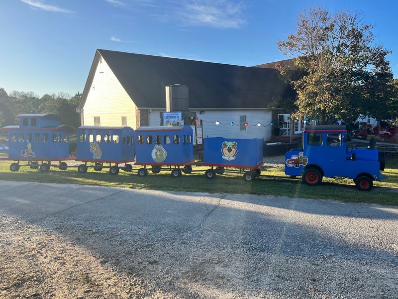 Train Rides And Wagon Rides Around The Park Train Rides And Wagon Rides Around The Park