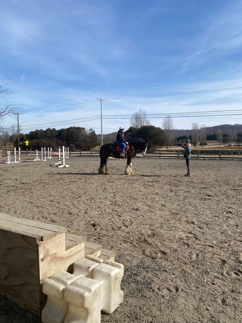 Trainers Who Make Big Horses Less Intimidating