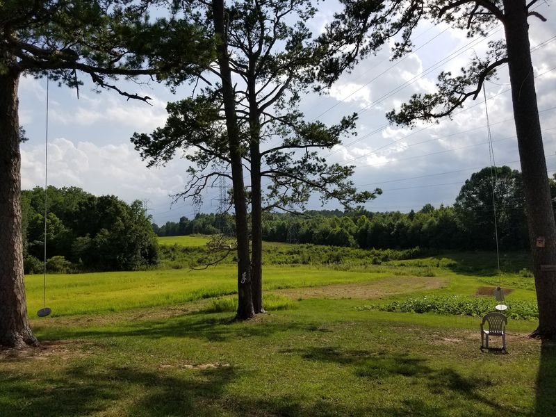 Tree Swings And Shady Corners