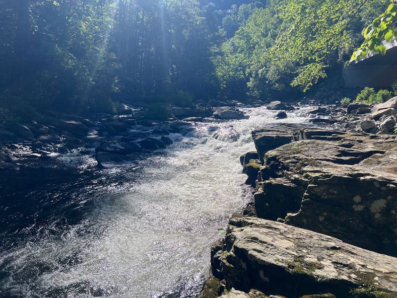 Trout Fishing Along the River Trout Fishing Along the River