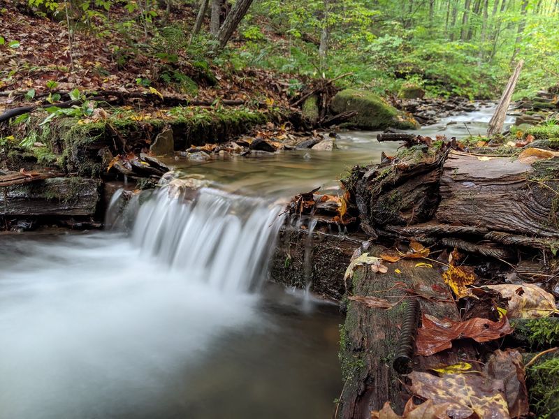 Trout Streams, Cold Water, and Fishing in Places Few People Bother to Reach Trout Streams, Cold Water, and Fishing in Places Few People Bother to Reach