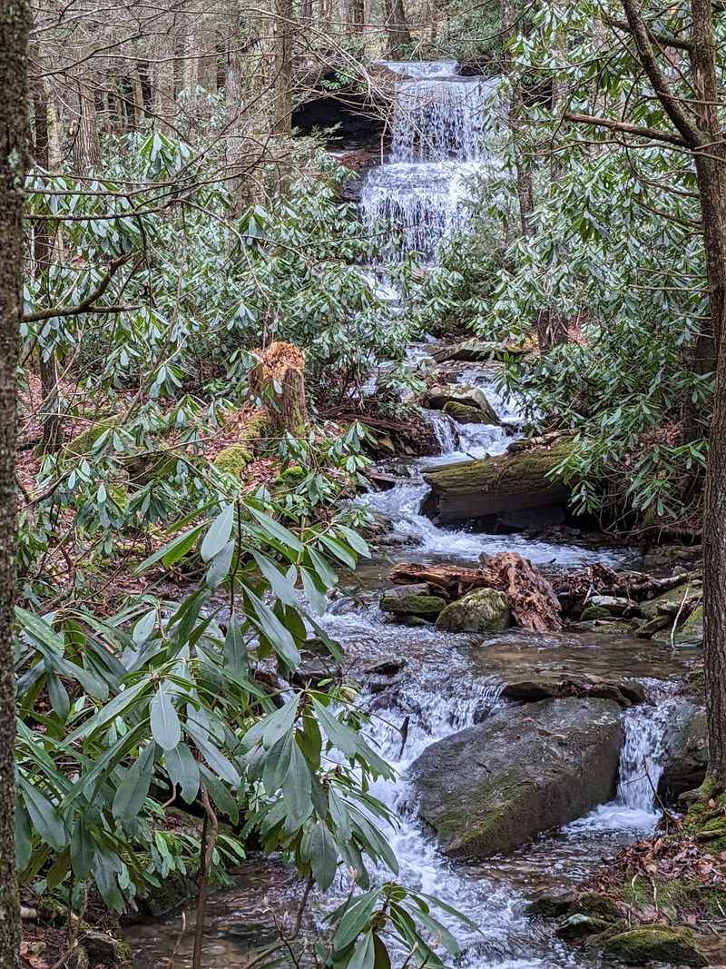 Truly Off the Grid: The Forest's Remote Southern Tract