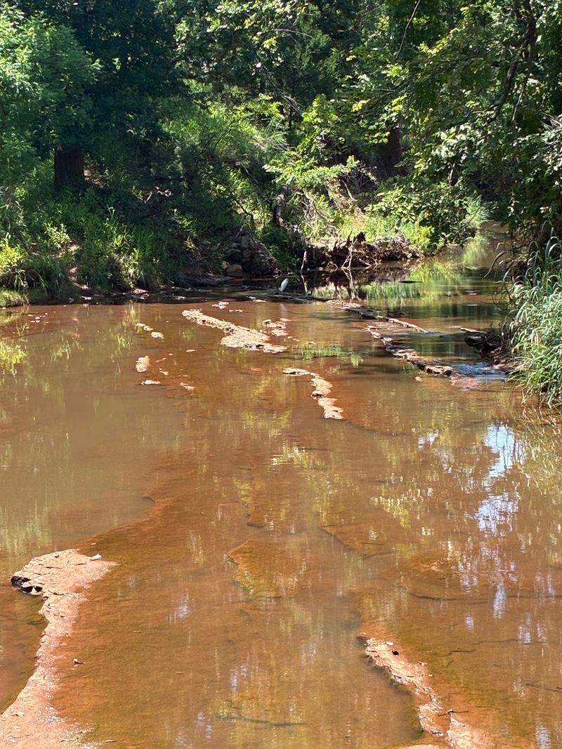 Turtles, Fish, and the Water Features That Define the Route