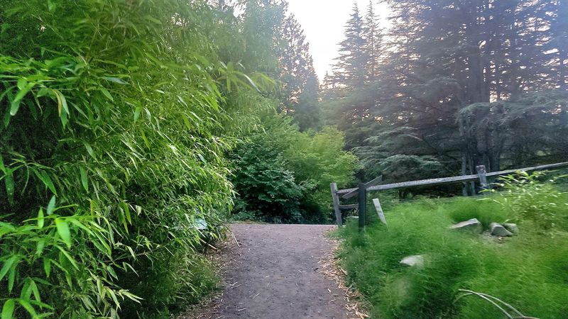 Twelve Miles Of Trails That Split And Wander Twelve Miles Of Trails That Split And Wander