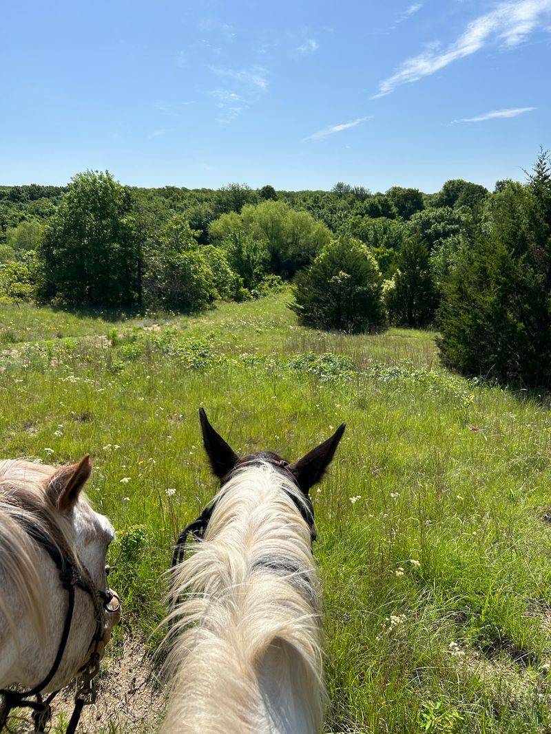 Two Hours Through the Chickasaw National Recreation Area Two Hours Through the Chickasaw National Recreation Area