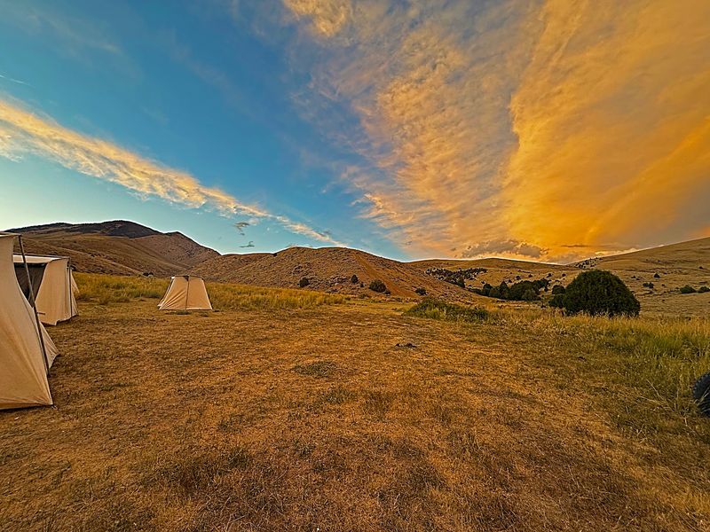 Two Nights Under the Stars: The Camping Experience Two Nights Under the Stars: The Camping Experience