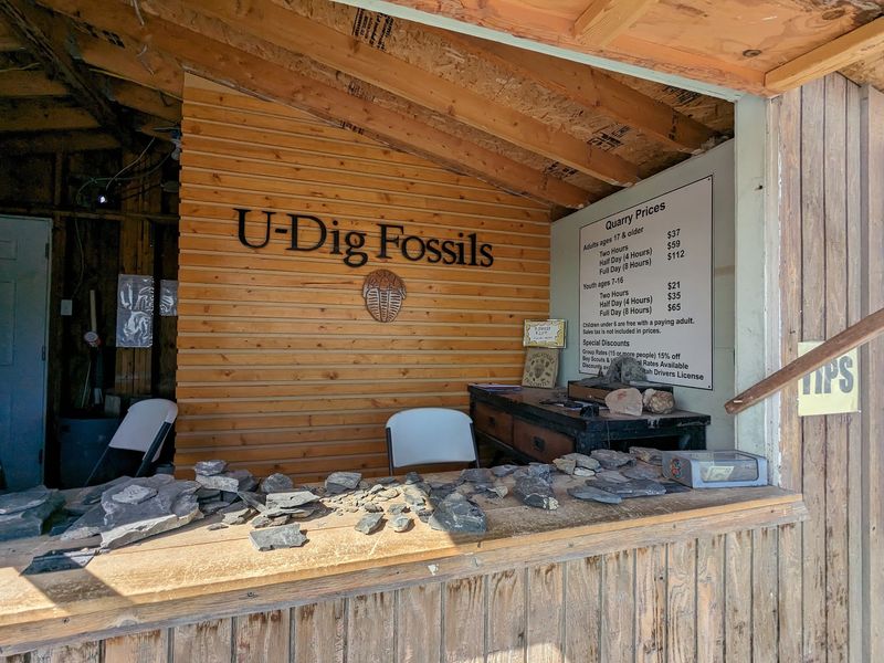 U-Dig Fossils, Delta, Utah U-Dig Fossils, Delta, Utah