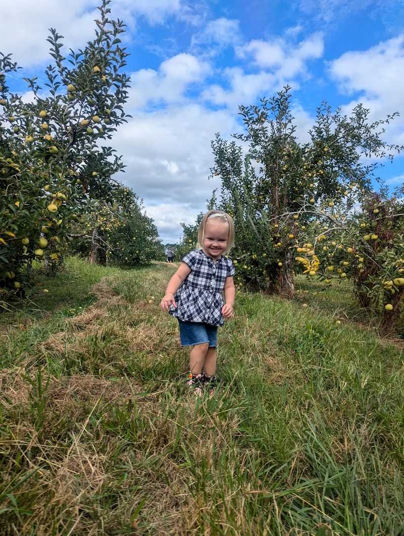 U-Pick Days and Hayrides U-Pick Days and Hayrides