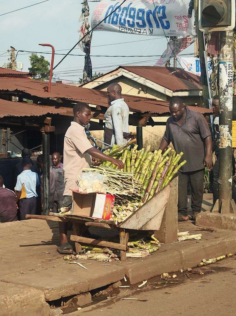 Uganda