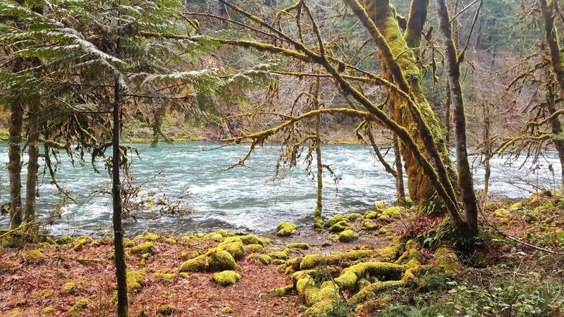 Umpqua Hot Springs: A Natural Reward