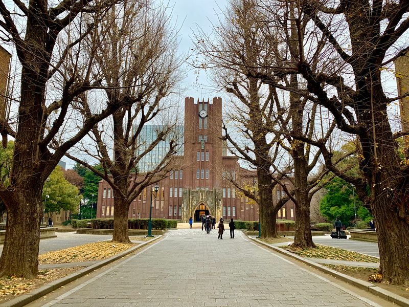 University of Tokyo, Tokyo, Japan