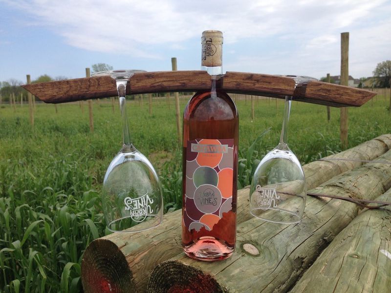 Urban Vines Winery And Restaurant, Westfield