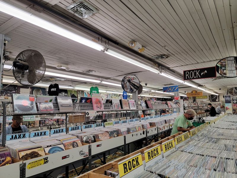 Used Vinyl as the Main Hunt