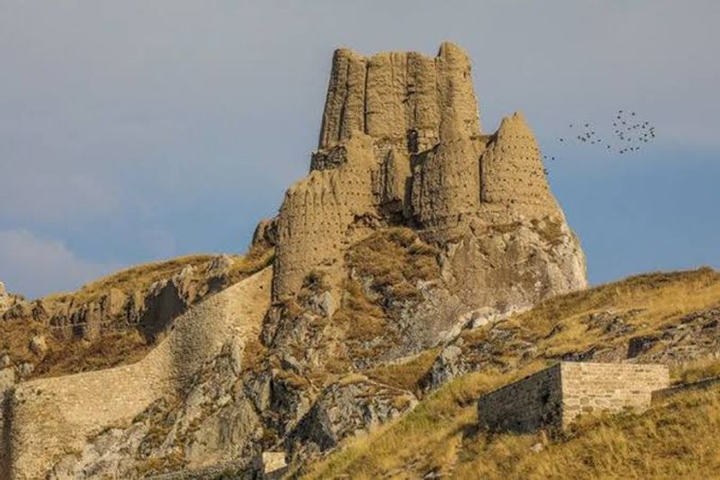Van Castle, Van